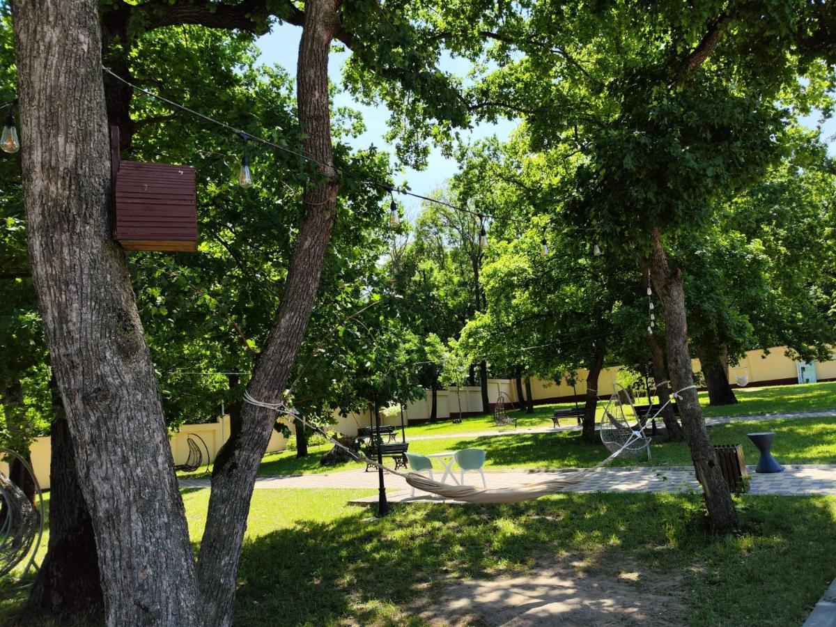 Hotel Curtea Domneasca Vaslui Exteriér fotografie